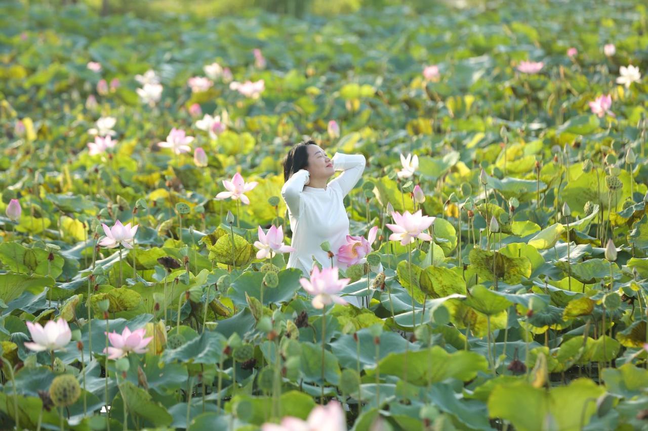 Lotus Hotel Ninh Binh Luaran gambar